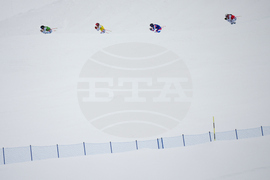 Milan Cortina Olympics Freestyle Skiing