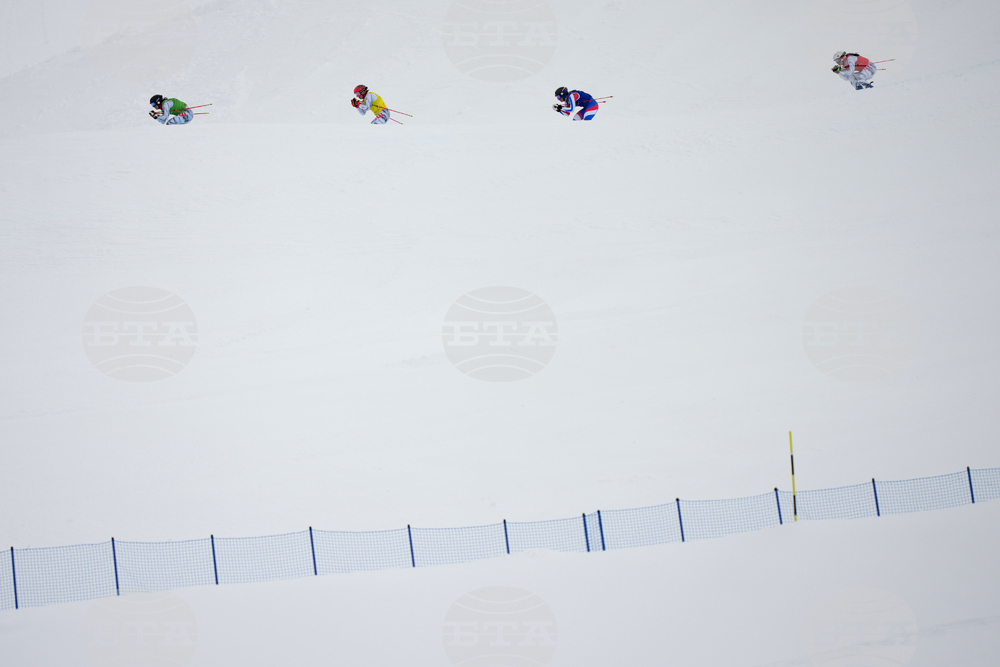 Milan Cortina Olympics Freestyle Skiing