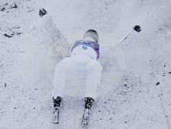 Milan Cortina Olympics Freestyle Skiing