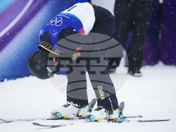 Milan Cortina Olympics Freestyle Skiing