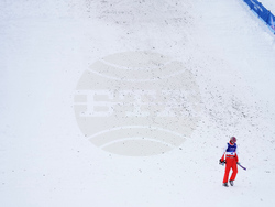 Milan Cortina Olympics Freestyle Skiing