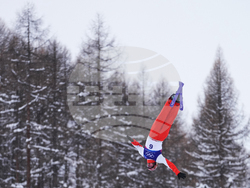 Milan Cortina Olympics Freestyle Skiing