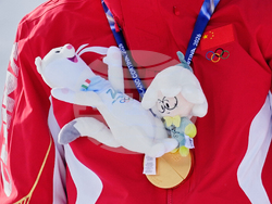 Milan Cortina Olympics Freestyle Skiing