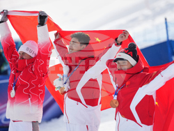 Milan Cortina Olympics Freestyle Skiing