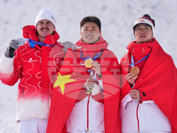 Milan Cortina Olympics Freestyle Skiing