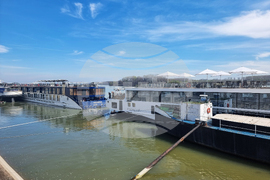 Видин - круизни кораби