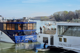 Видин - круизни кораби