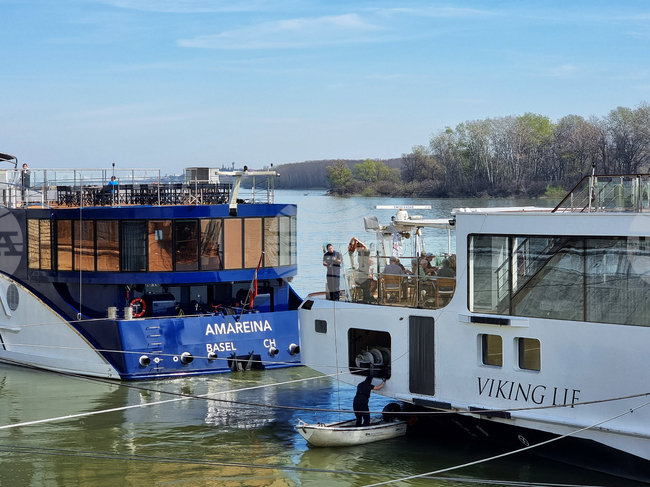 Видин - круизни кораби