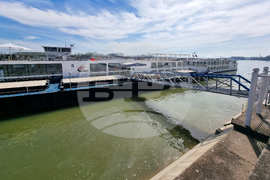 Видин - круизни кораби