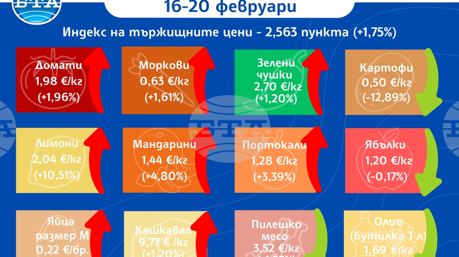 Повечето зеленчуци и плодове продължават да поскъпват на борсите у нас и през тази седмица показват данните на ДКСБТ