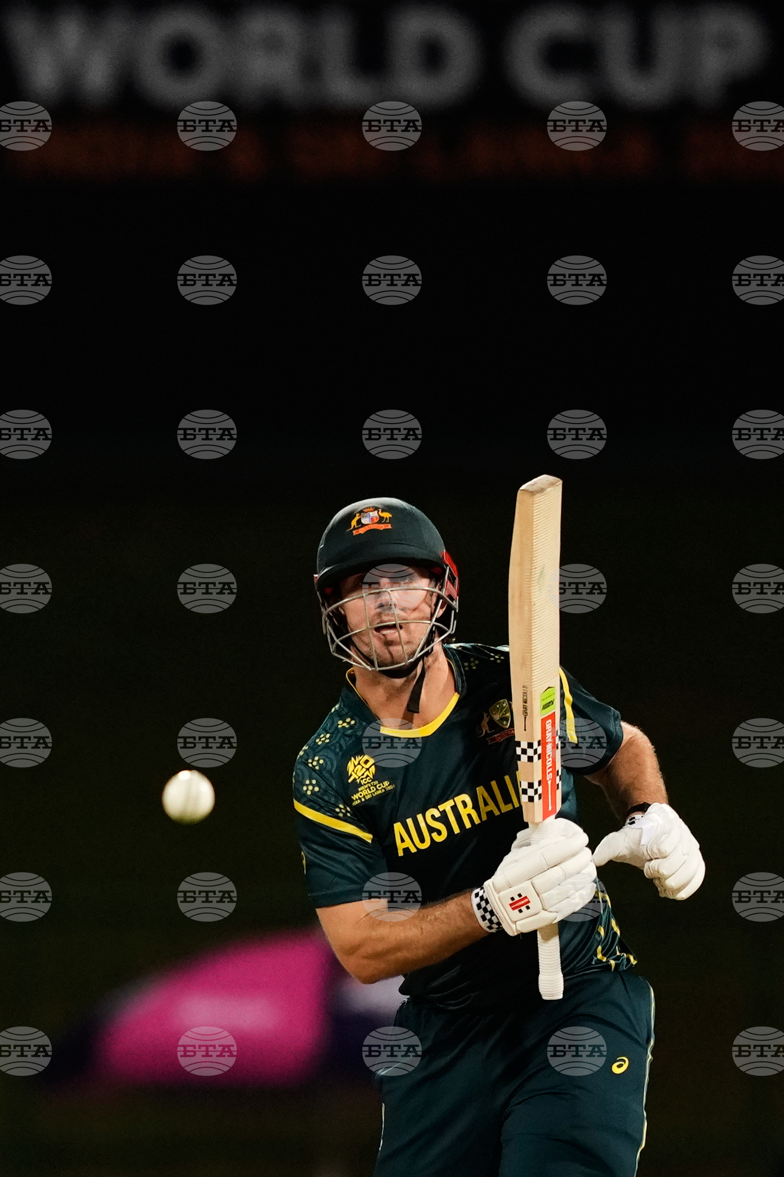 Australia Oman T20 WCup Cricket