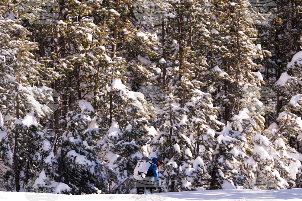 California Avalanche