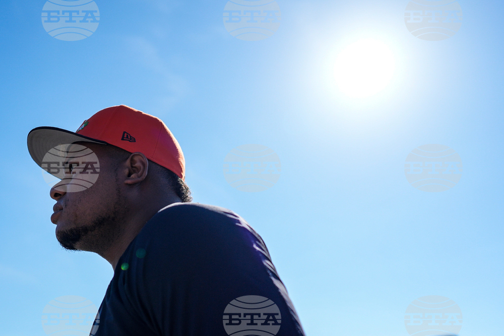 Tigers Spring Baseball