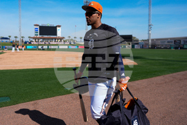 Tigers Spring Baseball