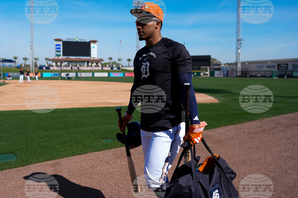 Tigers Spring Baseball