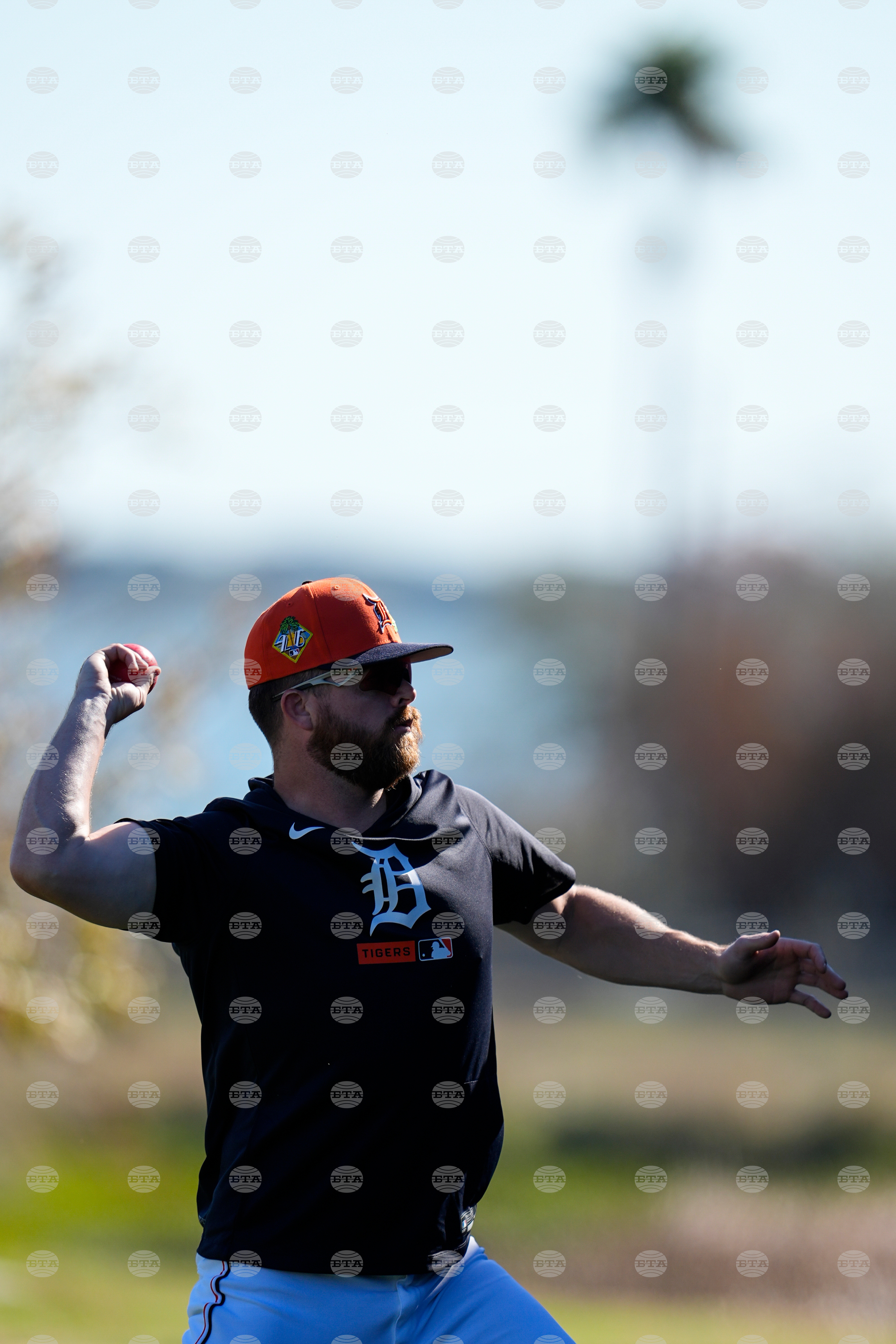 Tigers Spring Baseball