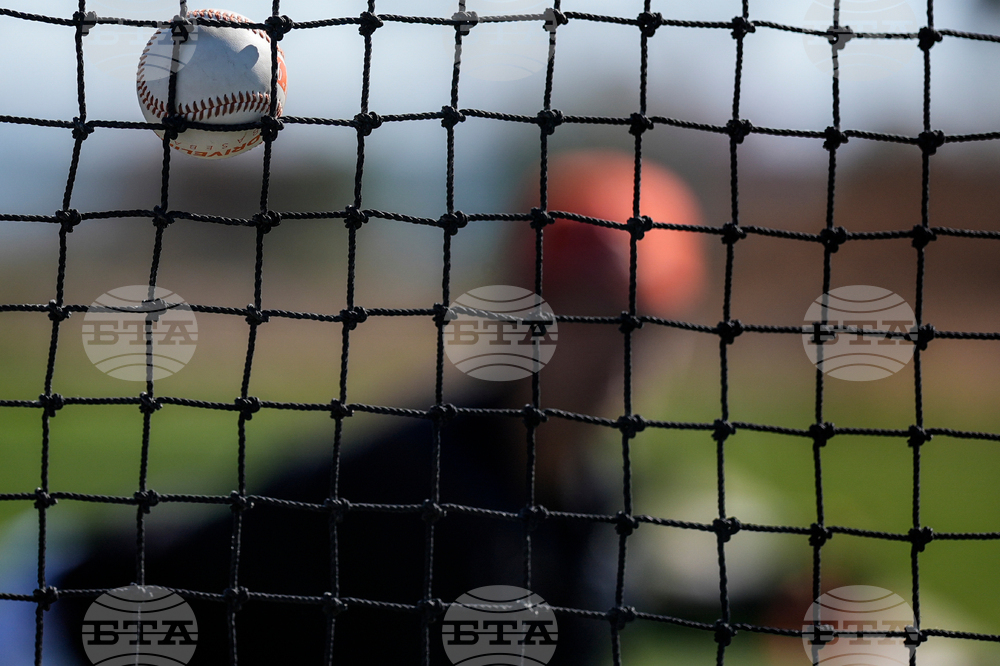 Tigers Spring Baseball