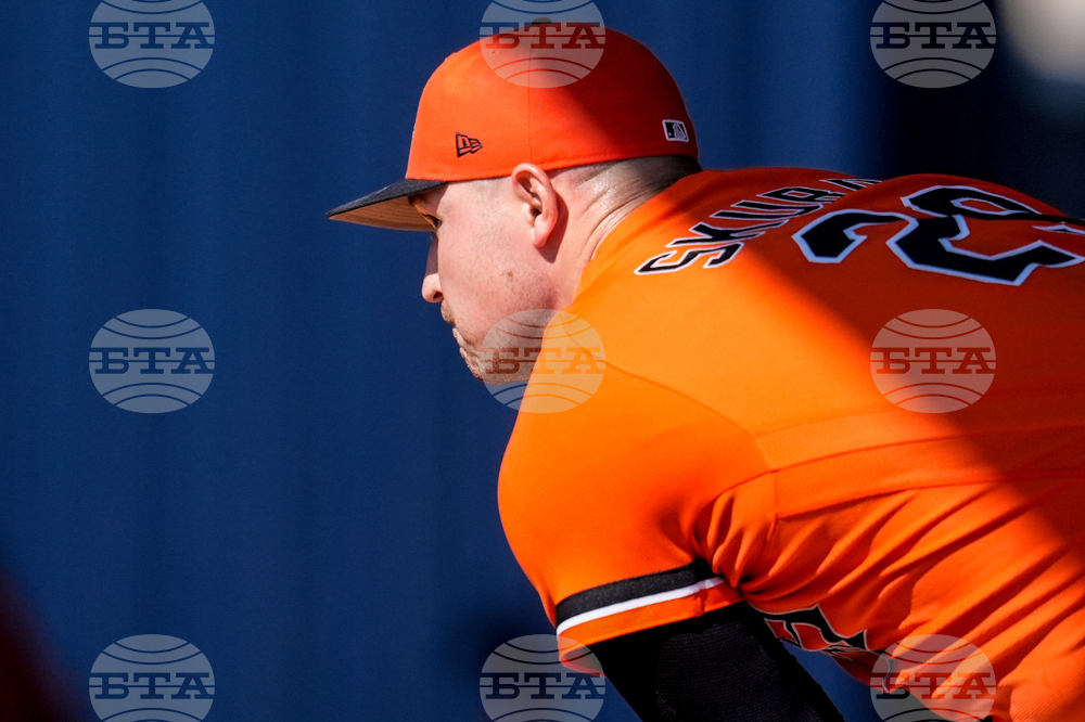 Tigers Spring Baseball
