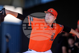 Tigers Spring Baseball