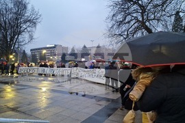 Монтана - протест - болница