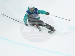 Milan Cortina Olympics Freestyle Skiing