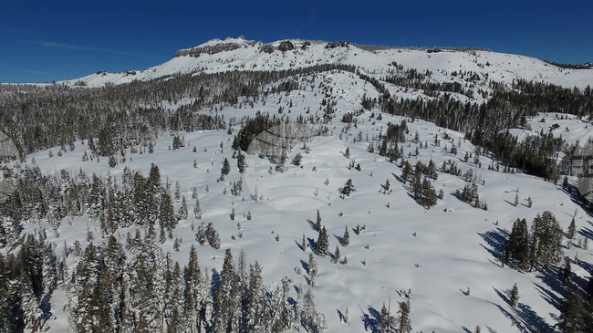 APTOPIX California Avalanche