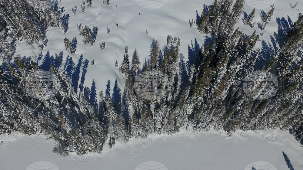 California Avalanche