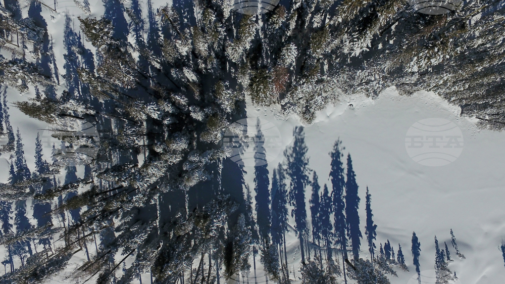 California Avalanche