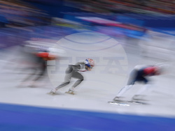 Milan Cortina Olympics Short Track Speedskating