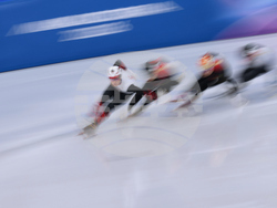 Milan Cortina Olympics Short Track Speedskating