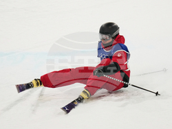 Milan Cortina Olympics Freestyle Skiing