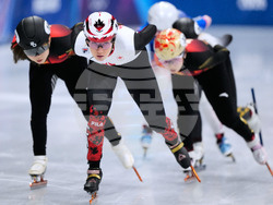 Milan Cortina Olympics Short Track Speedskating