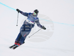 Milan Cortina Olympics Freestyle Skiing