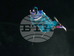 Milan Cortina Olympics Freestyle Skiing
