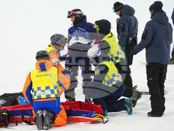 Milan Cortina Olympics Freestyle Skiing