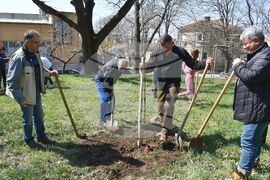 Разград - залесителна акция - Градски парк
