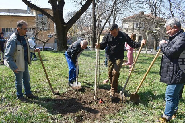 Разград - залесителна акция - Градски парк