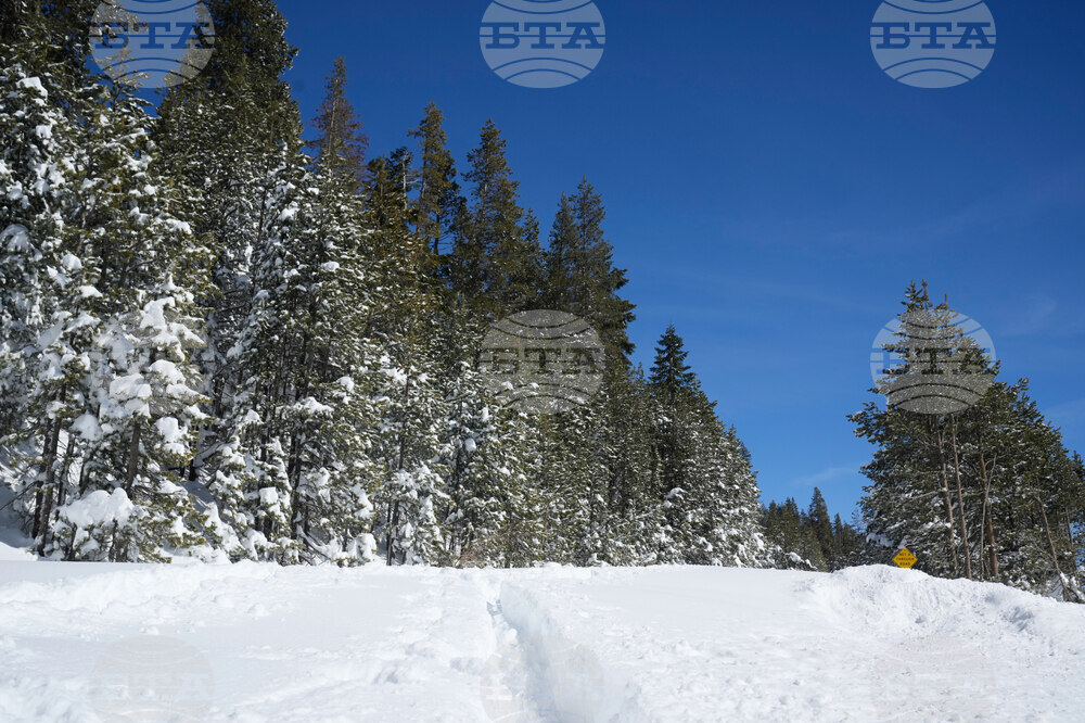 California Avalanche