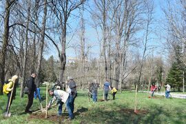 Разград - залесителна акция - Градски парк