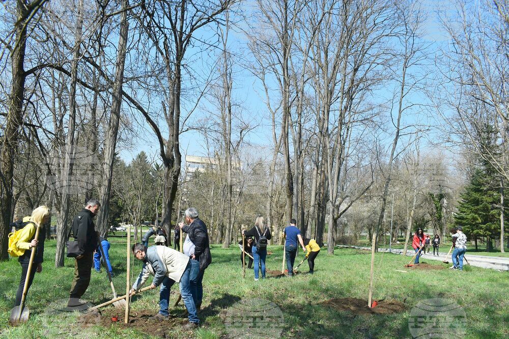 Разград - залесителна акция - Градски парк