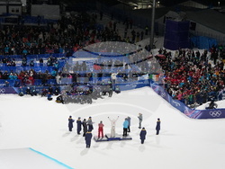 Milan Cortina Olympics Freestyle Skiing