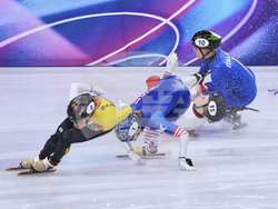 Milan Cortina Olympics Short Track Speedskating