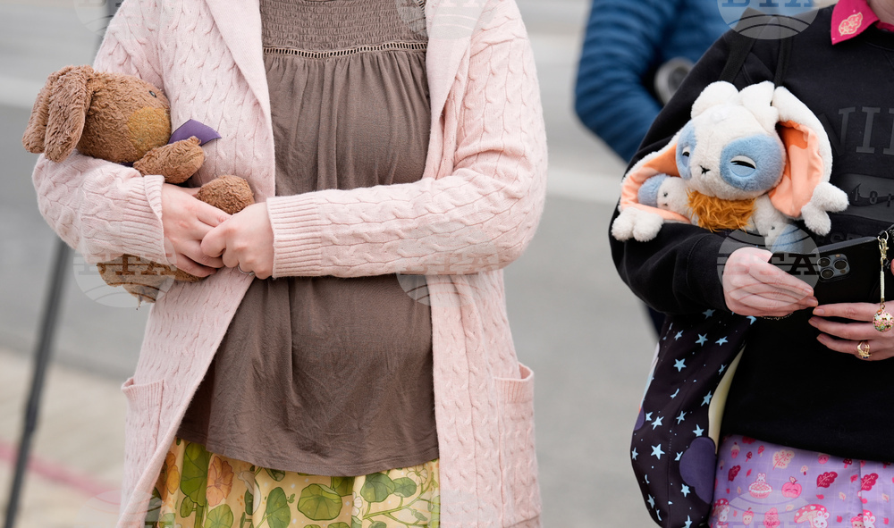 Bunny Museum Altadena