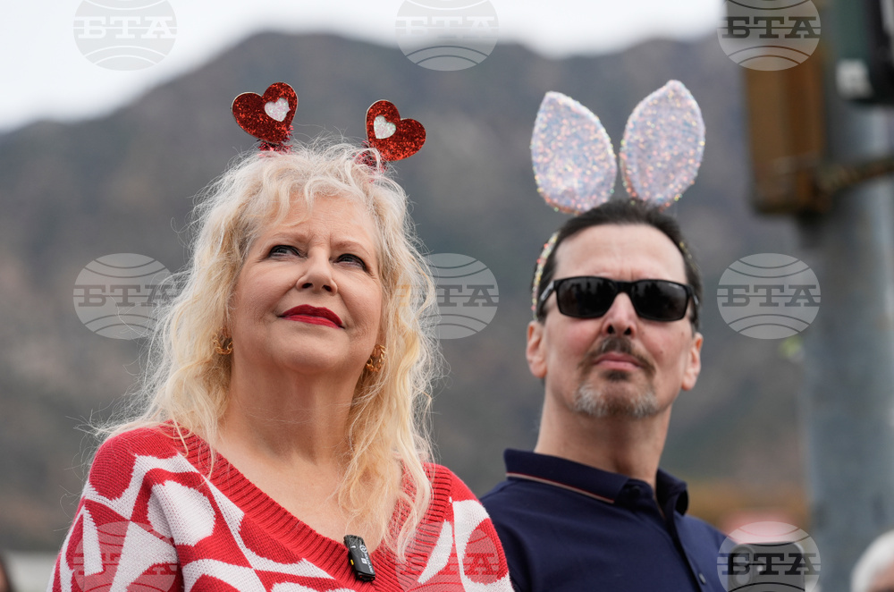 Bunny Museum Altadena