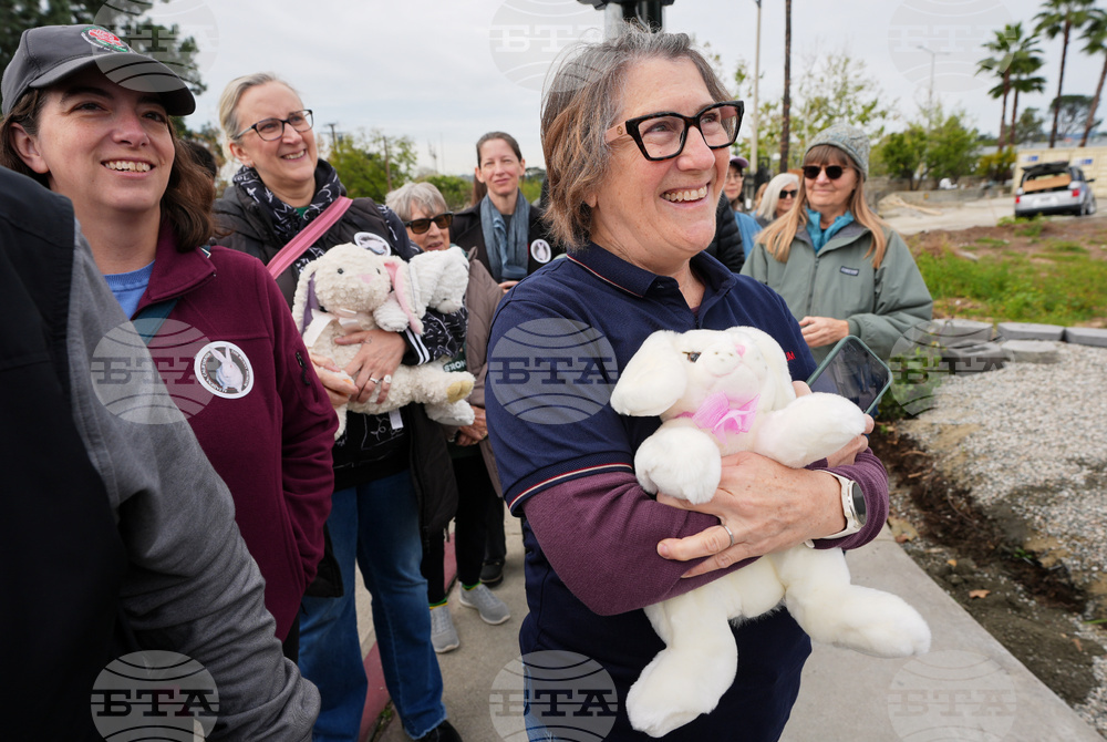 Bunny Museum Altadena