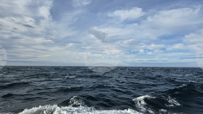 Научноизследователският кораб "Св. св. Климент Охридски" е на траверс на Магелановия проток