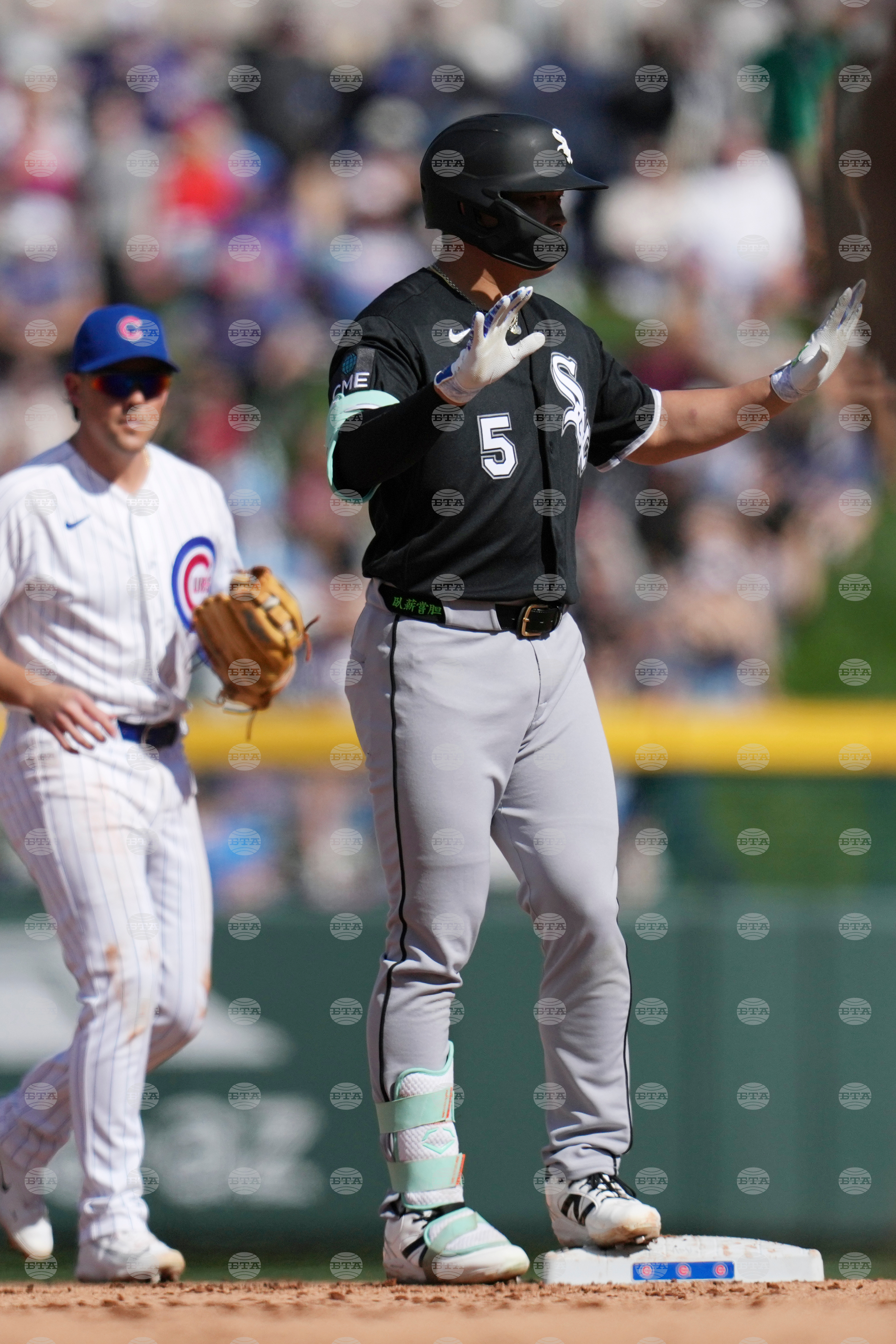White Sox Cubs Spring Baseball