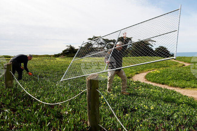 California Fence Dismantled