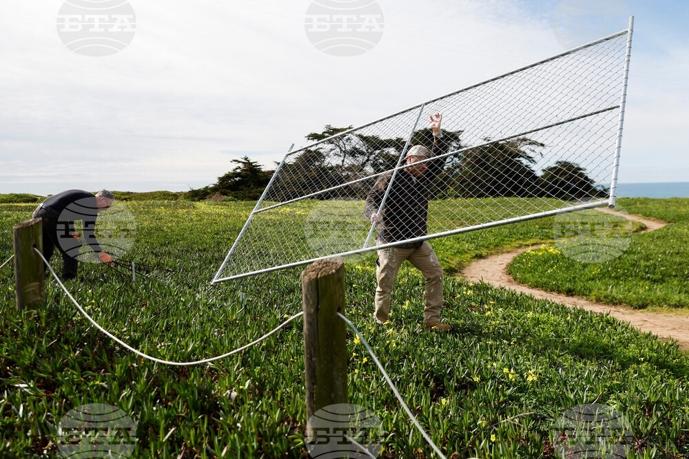 California Fence Dismantled