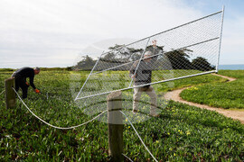 California Fence Dismantled